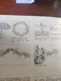 秘密花园：一本探索奇境的手绘涂色书