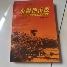 东海冲击波:三军首次联合渡海登陆战纪实