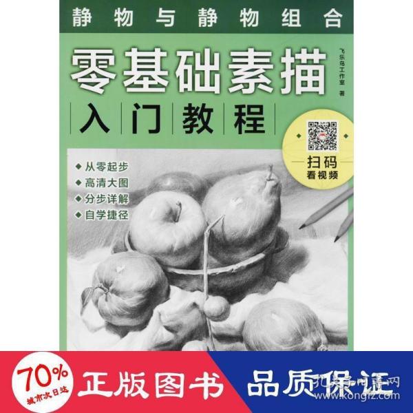 零基础素描入门教程：静物与静物组合