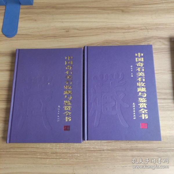 中国奇石美石说藏与鉴赏全书（全二卷）