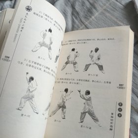 太乙游龙拳，太乙七十二闭手，