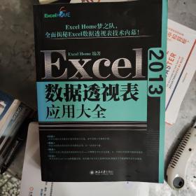 Excel 2013数据透视表应用大全