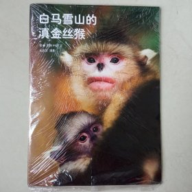 白马雪山的滇金丝猴