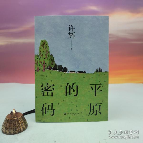 平原的密码（散文家许辉先生作品，对平原有着不同寻常的理解，对平原的社会和人群有着深入的思考）