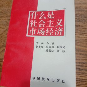 什么是社会主义市场经济