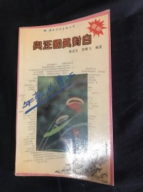 年轻的潇洒