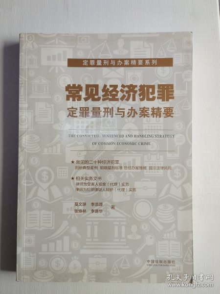 常见经济犯罪定罪量刑与办案精要