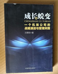 成长与蜕变 : 一个机场公司的战略演进与管理突围