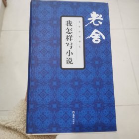 我怎样写小说