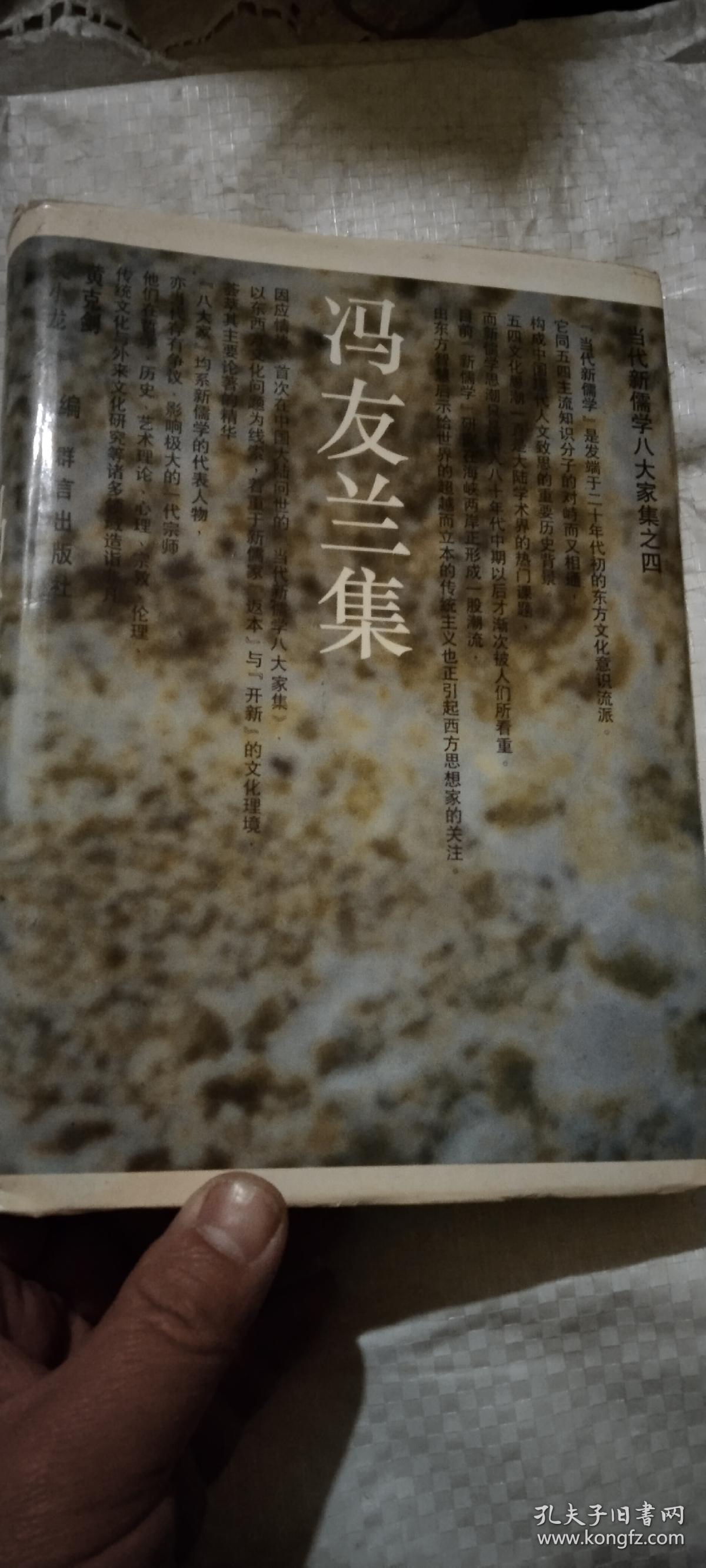 冯友兰集