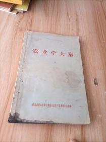 农业学大寨