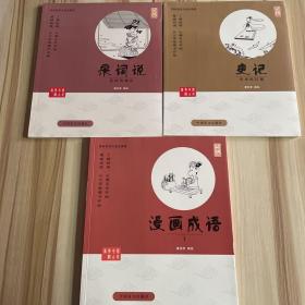 中国盲文出版社 蔡志忠漫画系列 ：史记（历史的长城），漫画成语（1 大字版）宋词（花间的细诉）3本合售