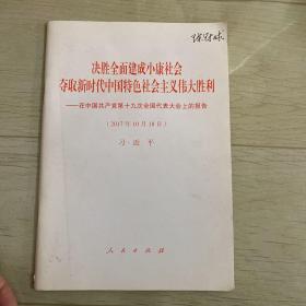 决胜全面建成小康社会夺取新时代中国特色社会主义伟大胜利—在中国共产党第十九次全国代表大会上的报告