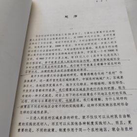 策略主义：桔镇运作的逻辑