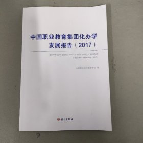 中国职业教育集团化办学发展报告2017