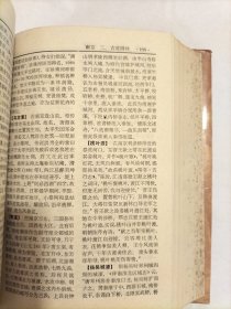 中国历史文化名城词典