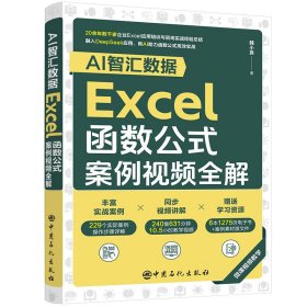 AI智汇数据：EXCEL函数公式案例视频全解