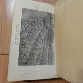 实验宝益 花卉园艺精说  昭和12年（1937年）精装厚册