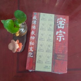 密宗：藏传佛教神秘文化