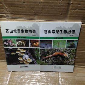 苍山常见生物图谱【中下册】