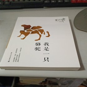 我是一只骆驼