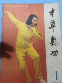 中华气功：气功外气的实验研究、气功外气对磁场强度影响的研究、气功治疗糖尿病十三例的初步观察、气功点穴治疗癫痫病介绍、气功治疗八法、气功与道家的关系、道家丹密、医学气功·续、传统养生内功奥秘直解、谈气功的三大要素、气功与营养、封二·内气周天运行图、保持气功态是健身的法宝，静坐法，气功与营养，参同契的易学与服气道等