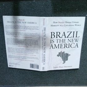 BRAZIL IS THE NEW AMERICA 巴西是新的美國
