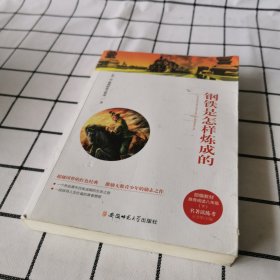 钢铁是怎样炼成的