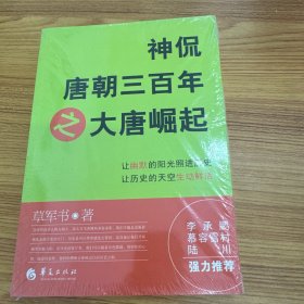 神侃唐朝三百年之大唐崛起