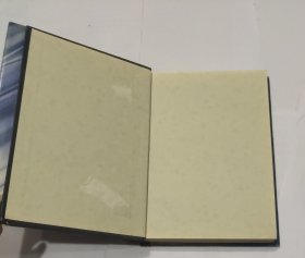 近现代汉语新词词源词典