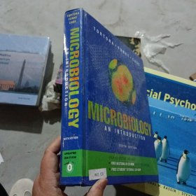 实物拍摄MICROBIOLOGYANINTRODUCTION
