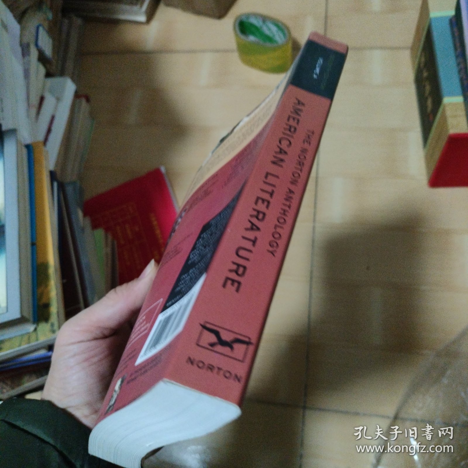 The Norton Anthology of American Literature: Beginning to 1820 Vol. A 诺顿英国文学选集系列