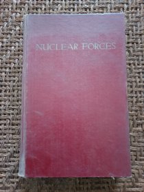 Nuclear Forces (核子力)(目录见图)