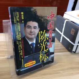 中国首善陈光标