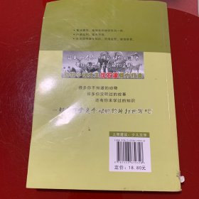 流星龙王（全新升级珍藏版）/动物小说大王沈石溪精读系列