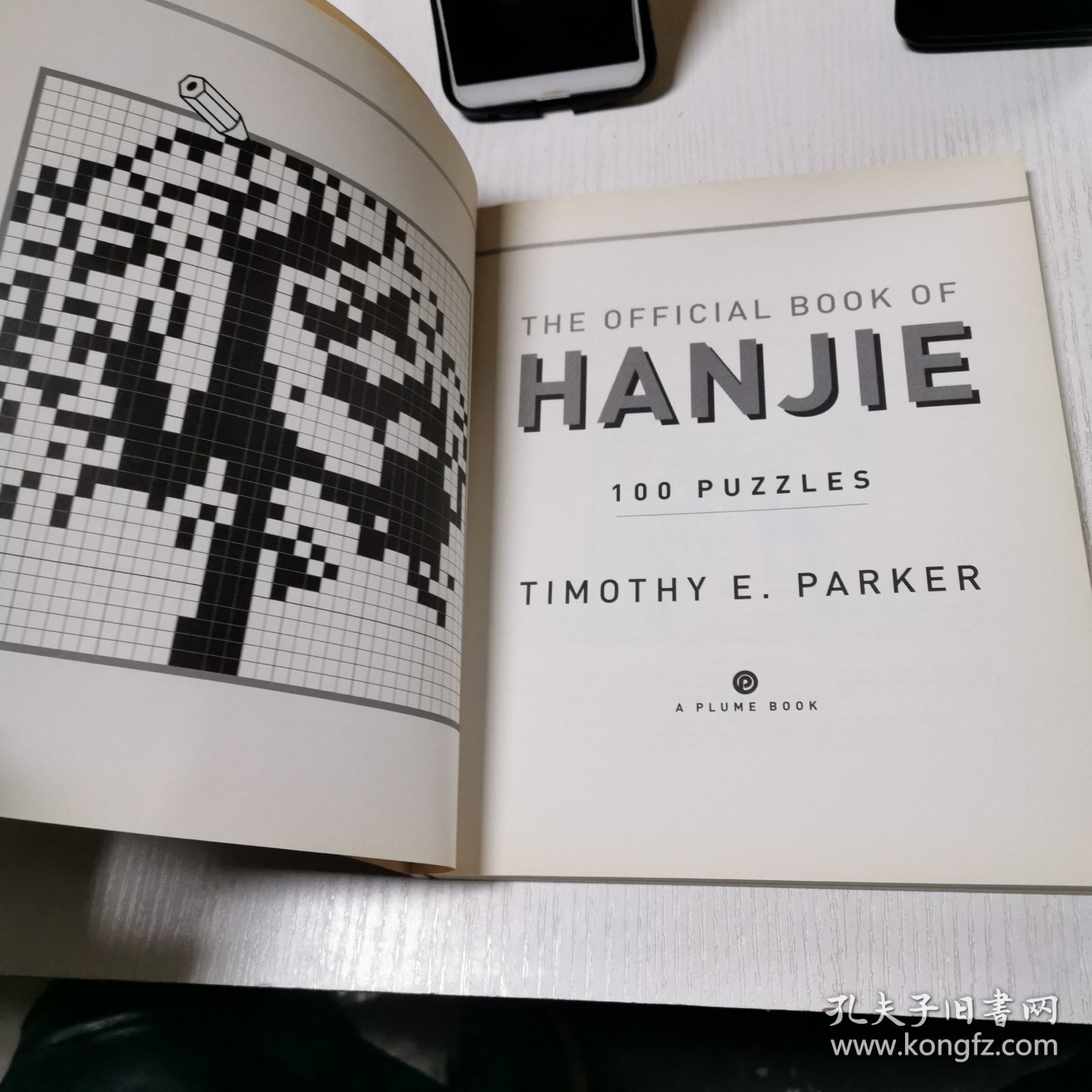 英文原版The Official Book of Hanjie《汉街官书》