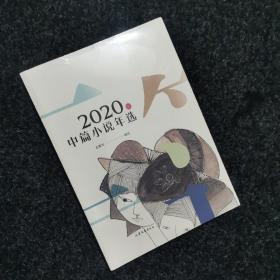 2020年中篇小说年选