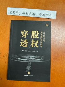 穿透股权：非上市公司股权激励实战指南