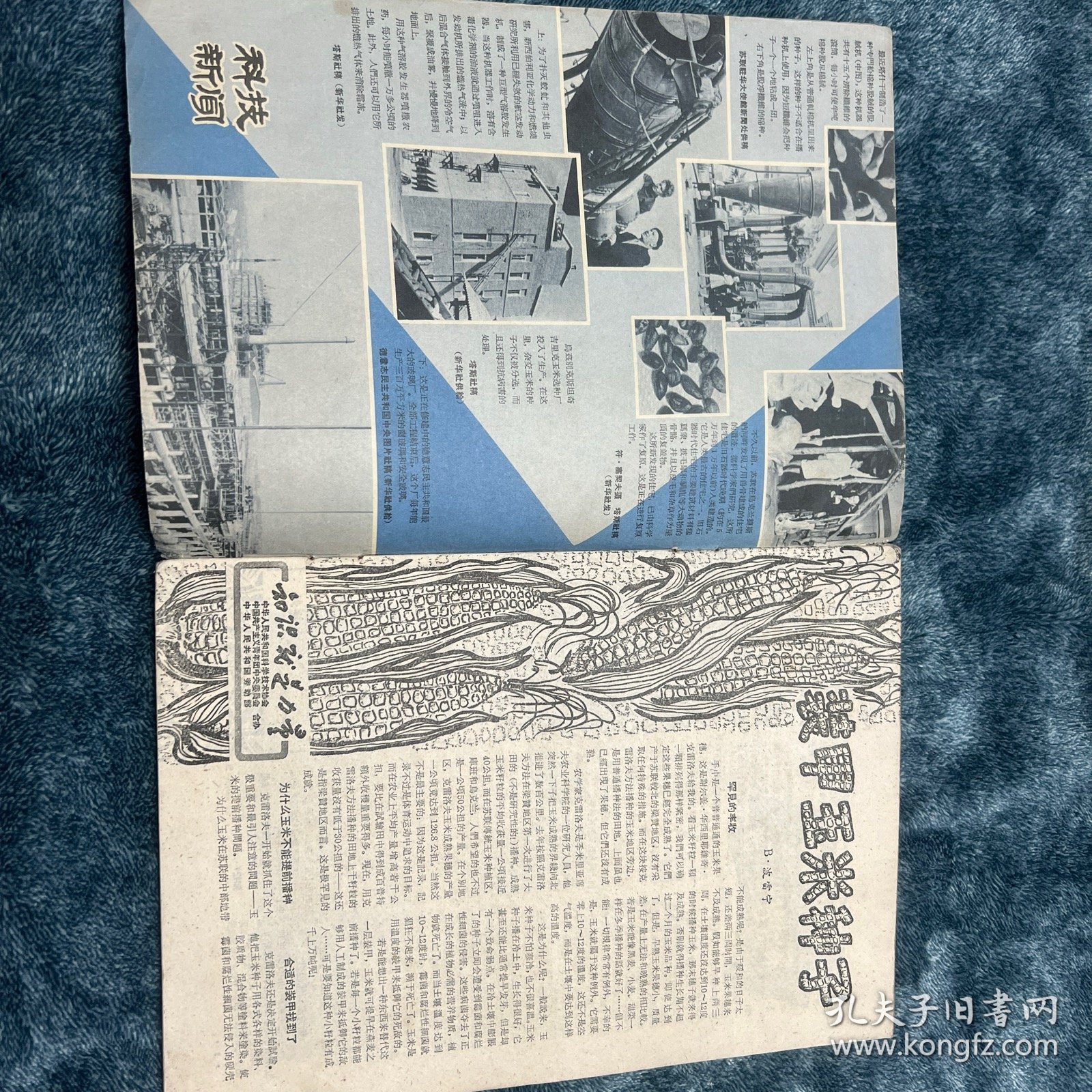 知识就是力量1962-12