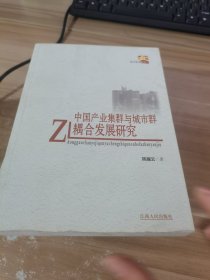 中国产业集群与城市群耦合发展研究