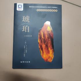 珠宝玉石系列科普丛书：琥珀