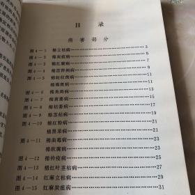 中国农作物病虫害图谱.第四分册 棉麻病虫 毛主席语录 各种棉麻彩图