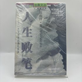 人生败笔：一个灭顶者的挣扎实录