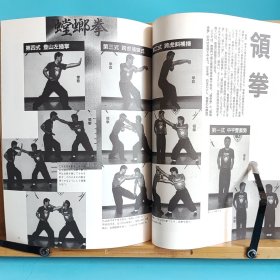 日文二手原版 16开本 中国武术の专门志 武术(うーしゅう)  1994年季刊夏号 特集 螳螂拳