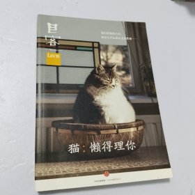 Lens·目客004·猫：懒得理你：我们爱猫的自由，和它几乎忘恩负义的性格……