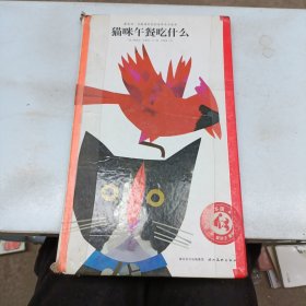 猫咪午餐吃什么