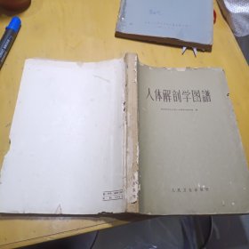 人体解剖学图谱1962年