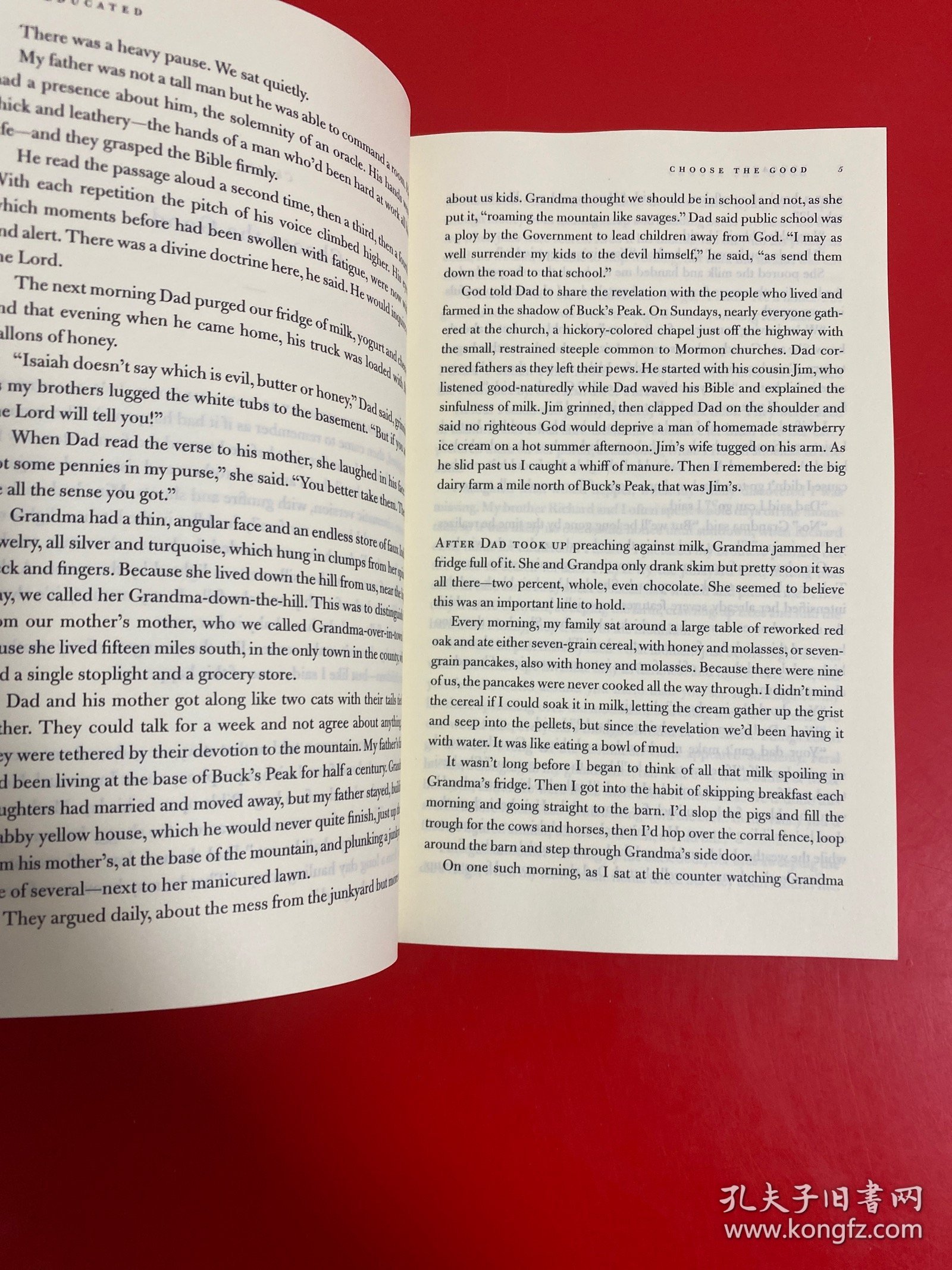 你当像鸟飞往你的山Educated: A Memoir纽约时报畅销书 比尔·盖茨推荐 教育改变人生