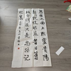 贵州书法家 童林 书法 实物图 品如图 按图发货 货号69-5 尺寸如图。自鉴