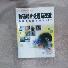 数码相片处理及改造影像修饰技巧完全DIY